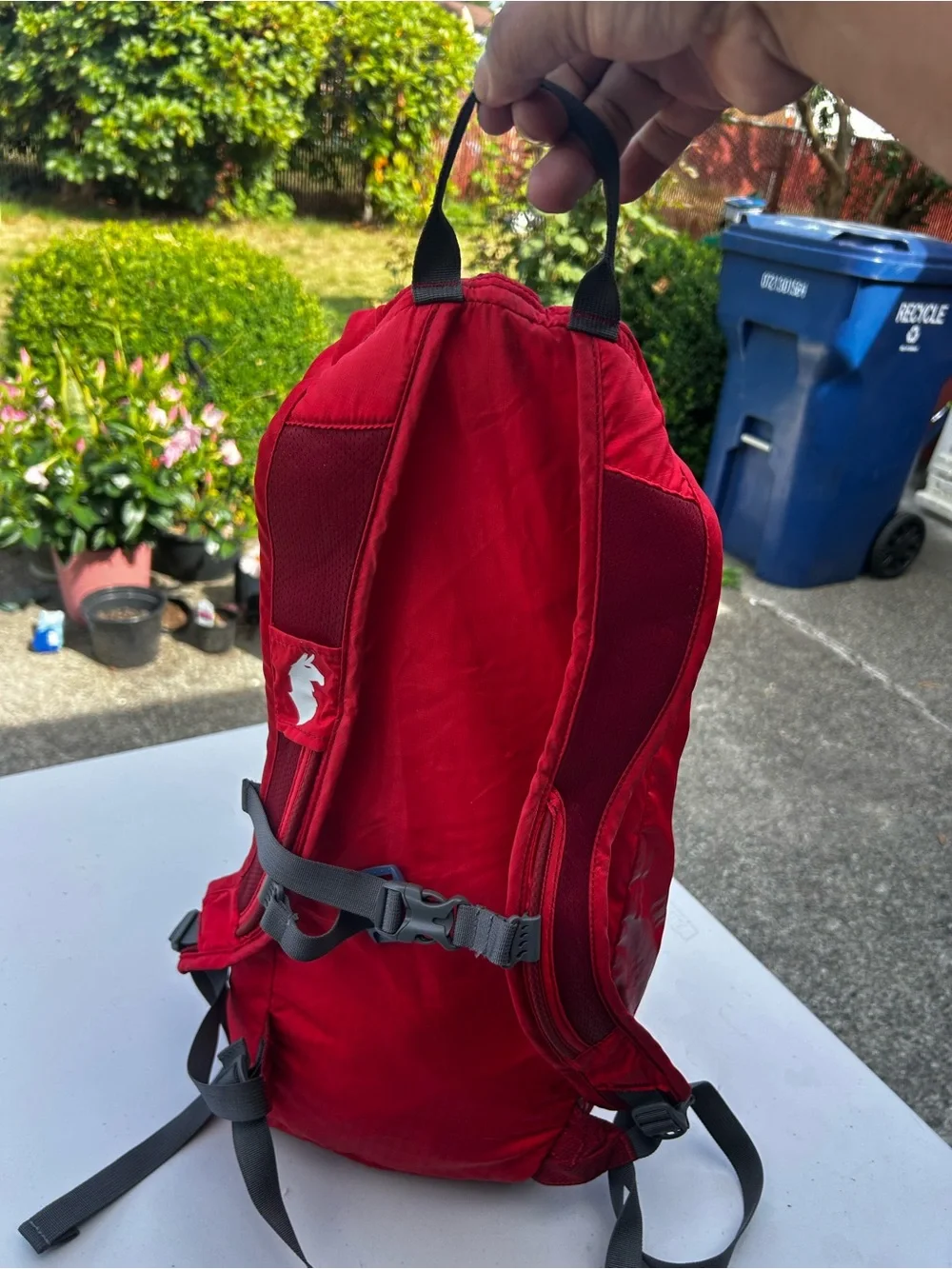 cotopaxi Bright Red Lightweight Daypack Size 18L